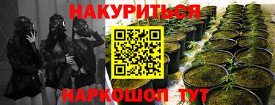 молекула духа Моздок