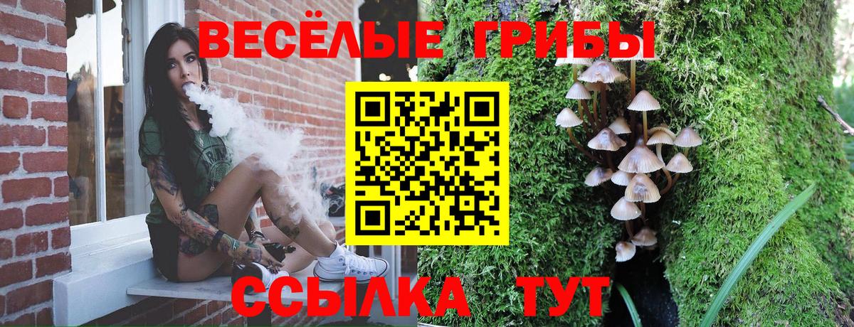 Псилоцибиновые грибы Cubensis Тихорецк